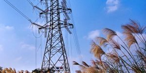 Transmission Line Tower