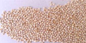 Organic Quinoa Seeds