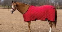 Horse Blankets