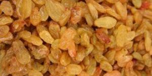 Raisin