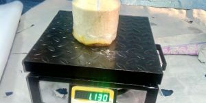 Trimmed Tender Coconuts