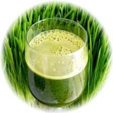 Wheatgrass Juice
