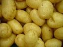 Potatos