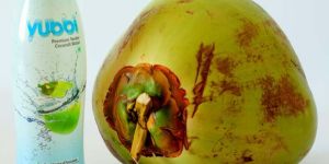 Coconut Water