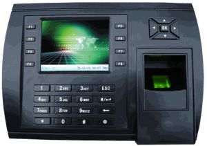 Biometric Time,  Attendance