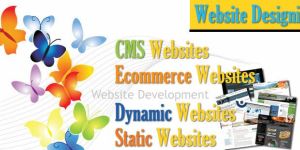 Website Designing