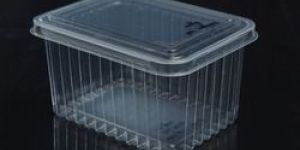 Disposable Plastic Food Container
