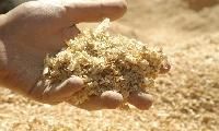 Wood Pulp