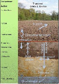 Soil Testing Services