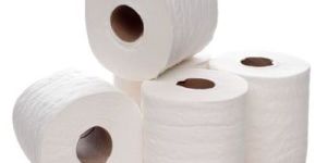 Toilet Paper Rolls