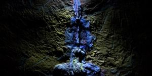 Dimensional Paper Mache Paintings