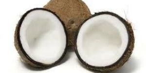 Coconut