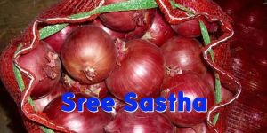 Fresh Nasik Red Onion