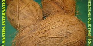 Semi Husked Coconuts