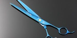 Swan Straight Scissors