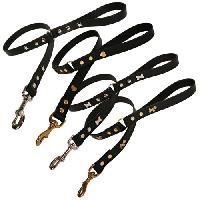 Dog Leads