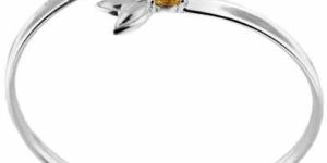 Sterling Silver Bangle Bg6669