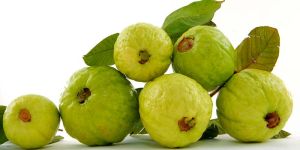 Fresh Guava
