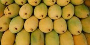 Fresh Dasheri Mango