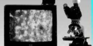 Video Projection Microscopes