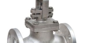 Globe Valve F