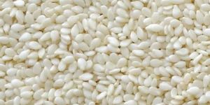 Sesame Seed