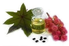 Castor Oil