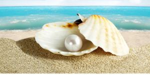 Sea Pearl