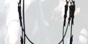 Horse Bridle - 30008