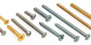 Brass Screws