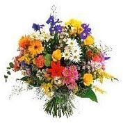 Flower Gift Fds-05