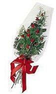 Flower Gift Fds-07