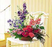 Flower Gift Fds-09