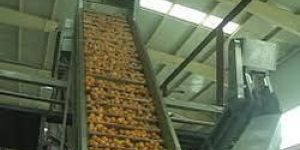 Mango Pulp Making Machine