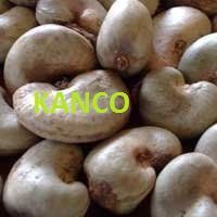 Raw Cashew Nuts