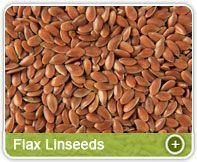 Flax Linseeds