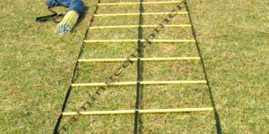 Speed Ladder Round Double