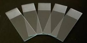 Microscope Slide
