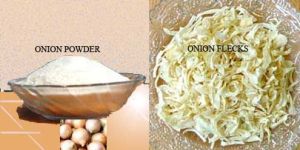 Dehydrated Onion