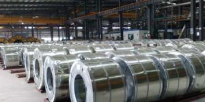 Stainless Steel Coils