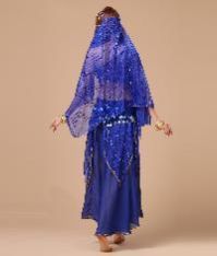 Belly Dance Costume