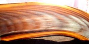 Horn Button Plates - 03