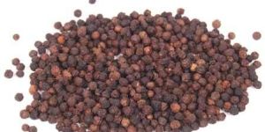 Black Pepper Seeds