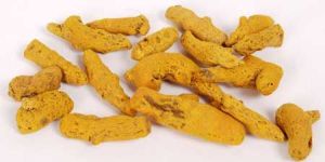 Turmeric Fingers