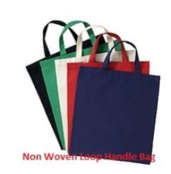 Non Woven Gift Bags