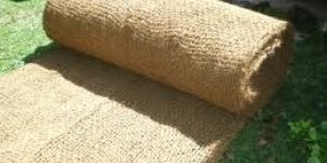 Coir Geo Textile
