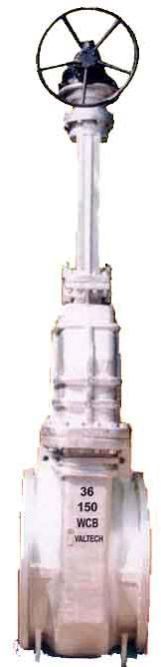 Cast Steel Gate Valve