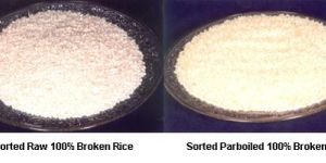 Broken Rice