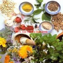 Allernil Ayurvedic Medicines