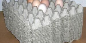 Grey Paper Egg Tray